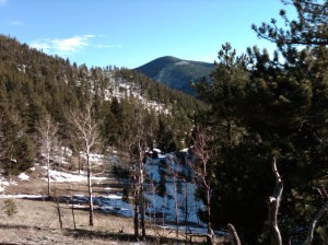 IMG00060-20091104-1655